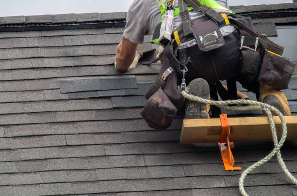 Best Roof Gutter Cleaning  in Charleston, MS