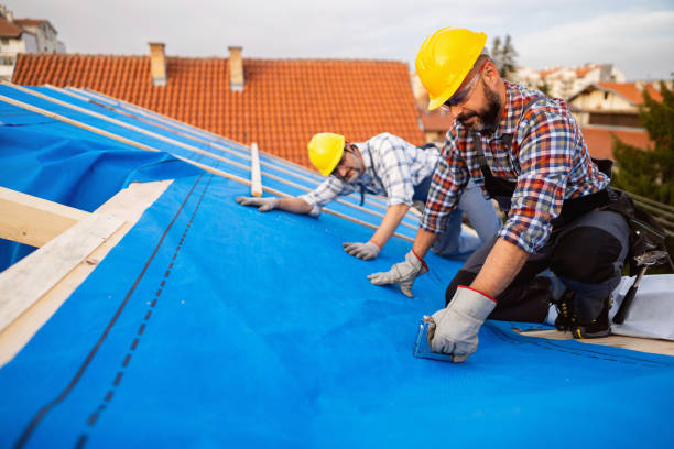 Best New Roof Installation  in Charleston, MS