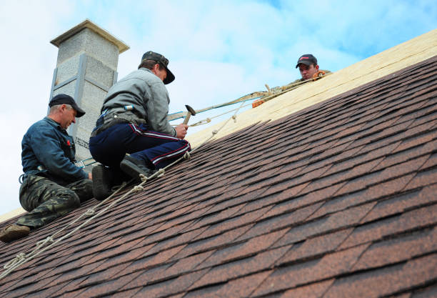 Best Roof Repair Services  in Charleston, MS